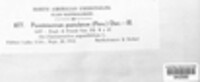 Pucciniastrum epilobii image